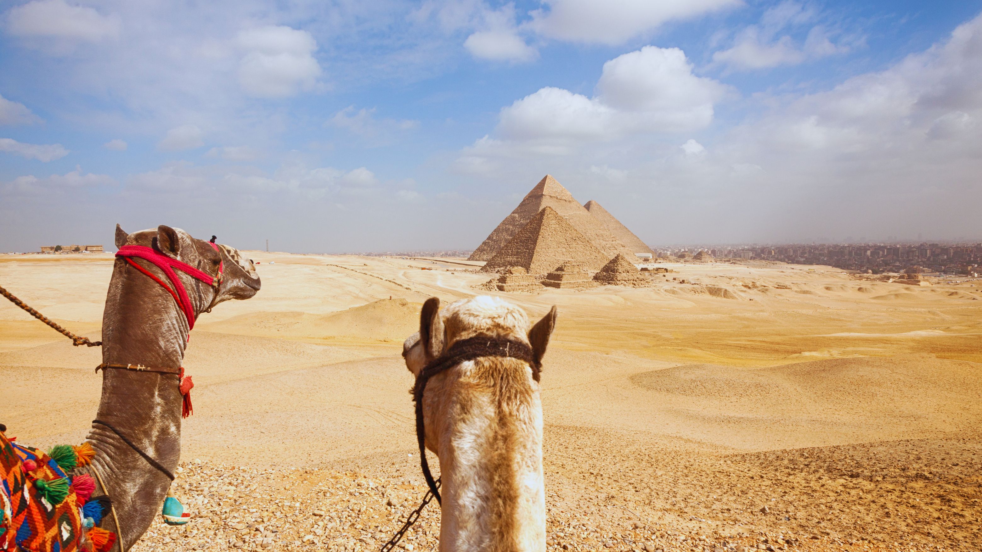 Foto do banner do país Egito