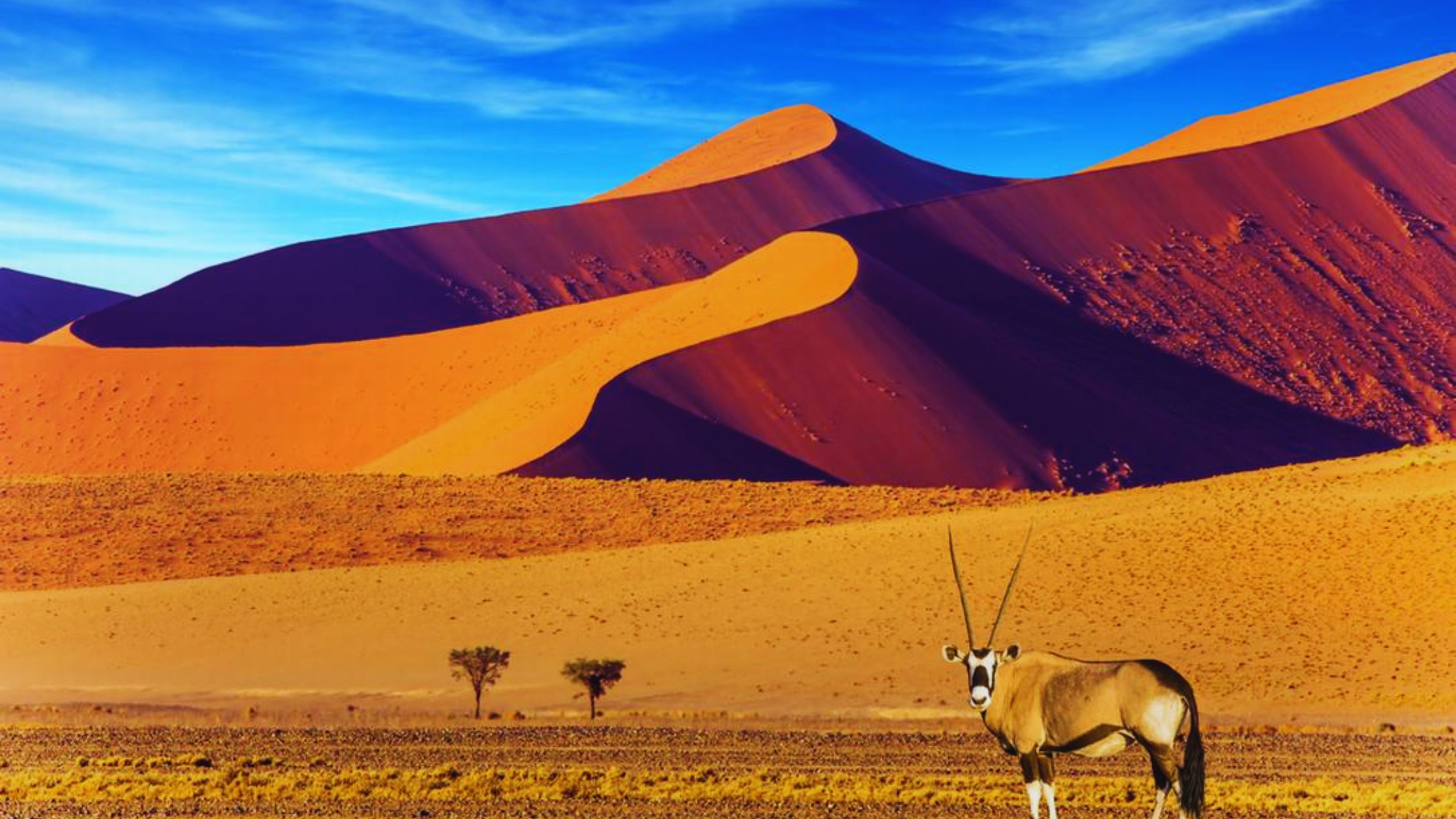 Foto do banner do país Namíbia