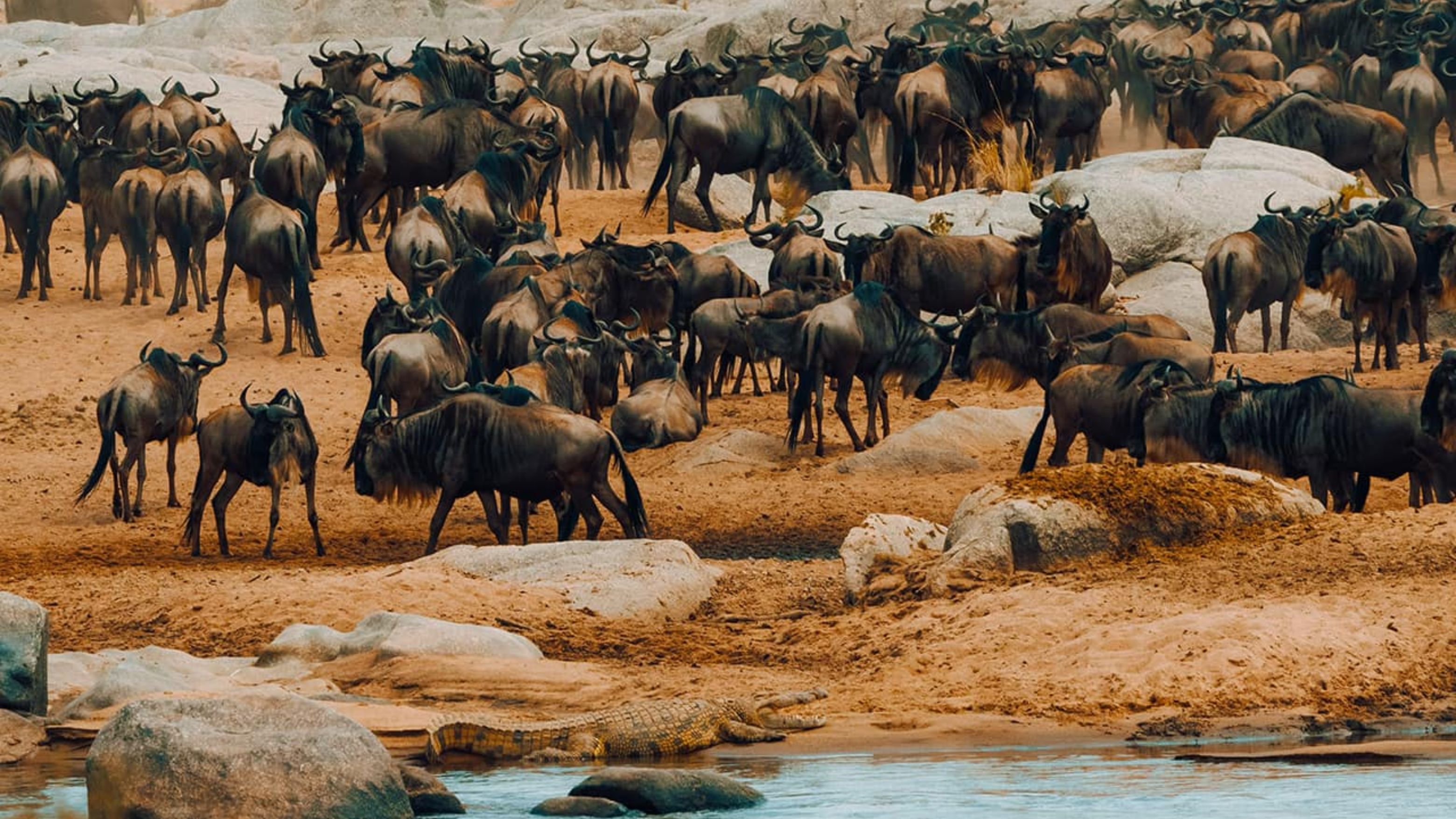 Foto do banner do país Tanzânia